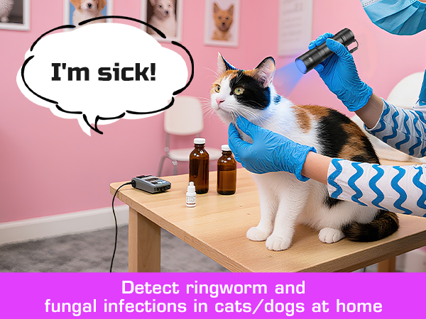 Detect ringworm and fungal infections in cats/dogs at home