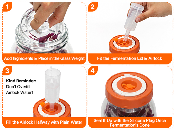 Fermentating kit