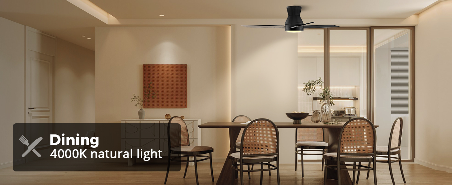 Ceiling Fans with Lights