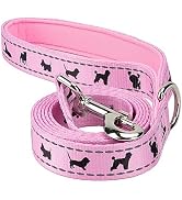 EcoBark Dog Leash - 4 FT / 5 FT / 6 FT Reflective Dog Leash- Eco-Bright Dog Leashes with Padded H...