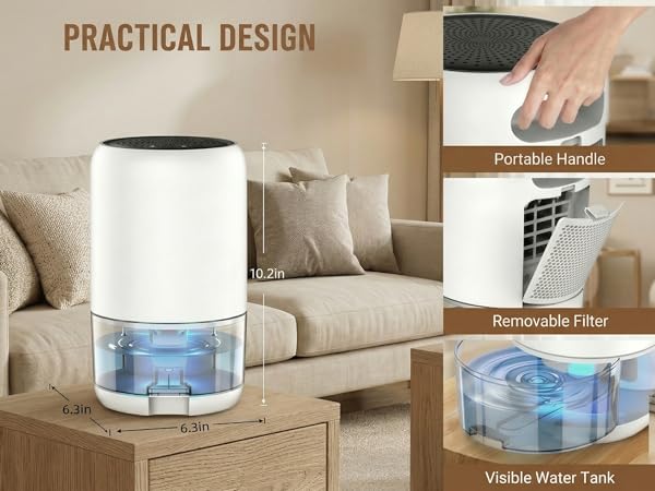 Compact dehumidifier
