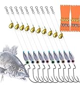 DAMIDEL 10Pcs Fishing Bullet Weights Texas Rigs Ready Kit,Worms, Sinker (10g/7g/5g), Worm Hooks, ...