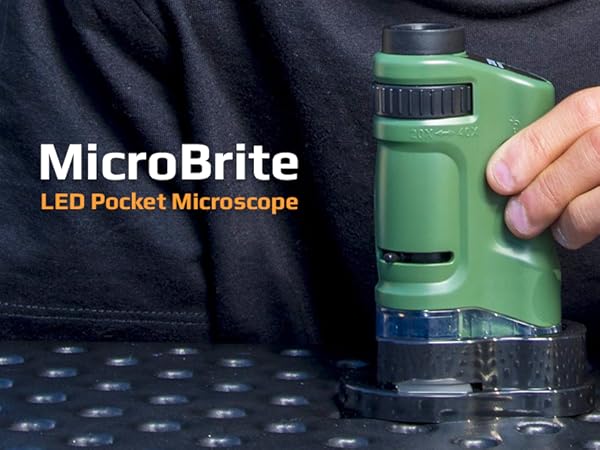 carson MicroBrite LED pocket microscope, science toy, student stem microscope, educational toy