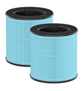air purifier for pollen allergies