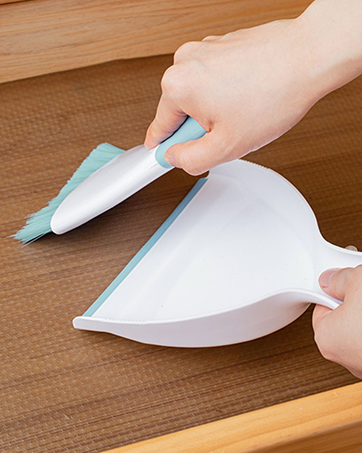 Mini Dustpan and Brush Set