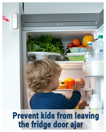 Freezer Door Alarm