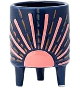 Napco Textured Sun Burst 3 x 2.75 x 2.75 inches Pink Orange Navy Ceramic Flower Succulent Plant R...