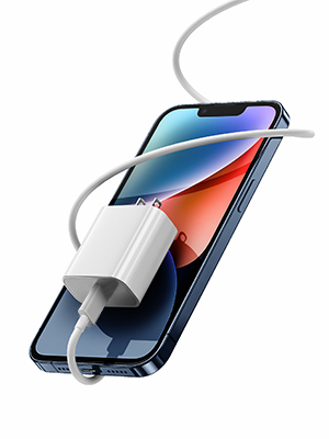 iPhone charger