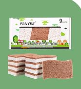 coconut sponges