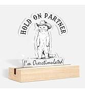 TopXmai Cat Desk Decor, Funny Western Cowboy Cat Hold on Partner I'm Overstimulated Shaped Acryli...