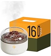 Rican Aromatherapy Diffusers, Aroma Diffuser,160ML Essential Oil Diffuser, Humidifier, Waterless ...