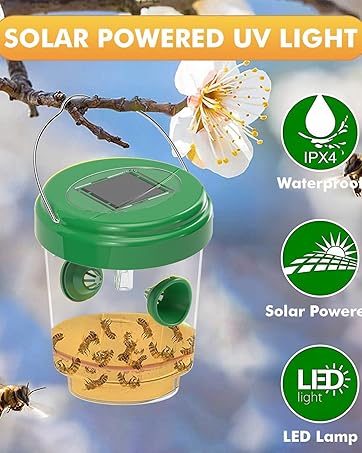 Wasp Trap Outdoor Hanging