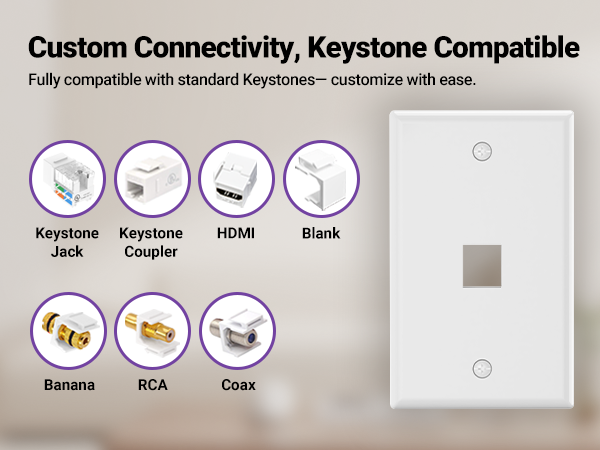keystone wall plate 1-port
