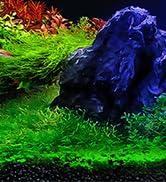 Aquarium Air Bubble Light