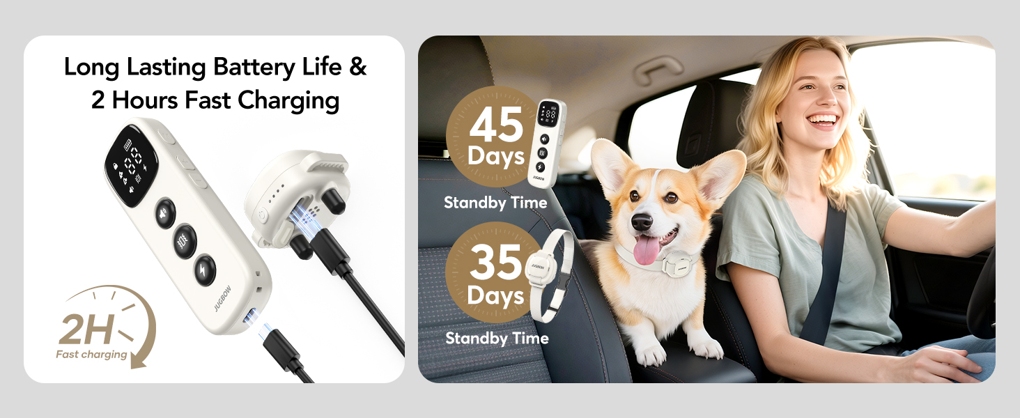 small dog training collar
