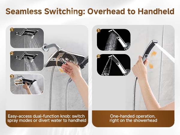 shower head with handheld