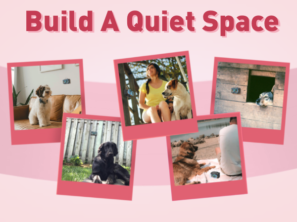 dog anti barking device