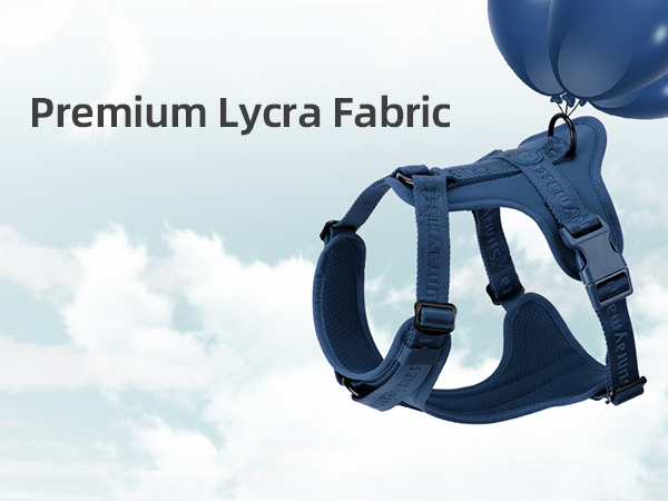 xsmall dog harness