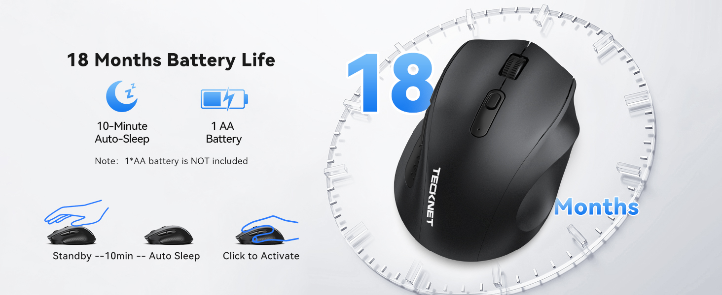 mouse