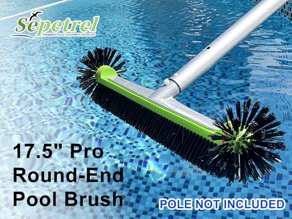 Hemispherical-Ends Pool Brush