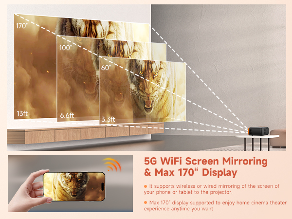 iphone projector