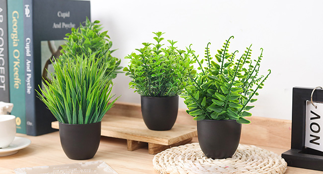 faux plant