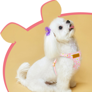 puppy harness