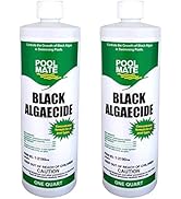 Pool Mate 1-2190-02BX Black Pool Algaecide, 2-Pack