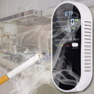 carbon monoxide detector plug in wall 2 pack 