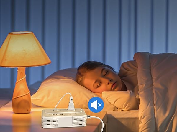 ALLWEI International Travel Adapter 220V to 110V Power Voltage Converter