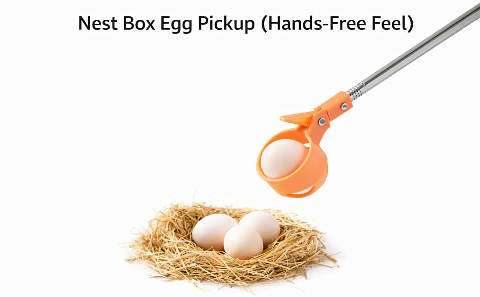 egg grabber1