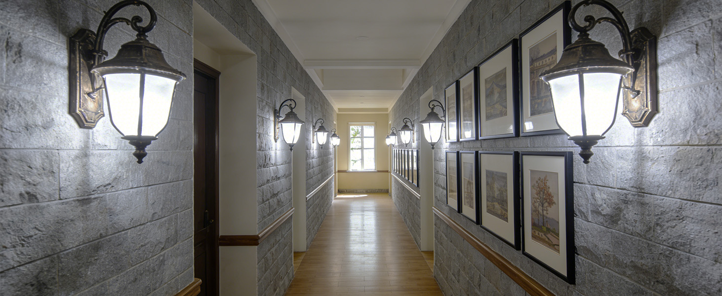 dusk to dawn light bulb