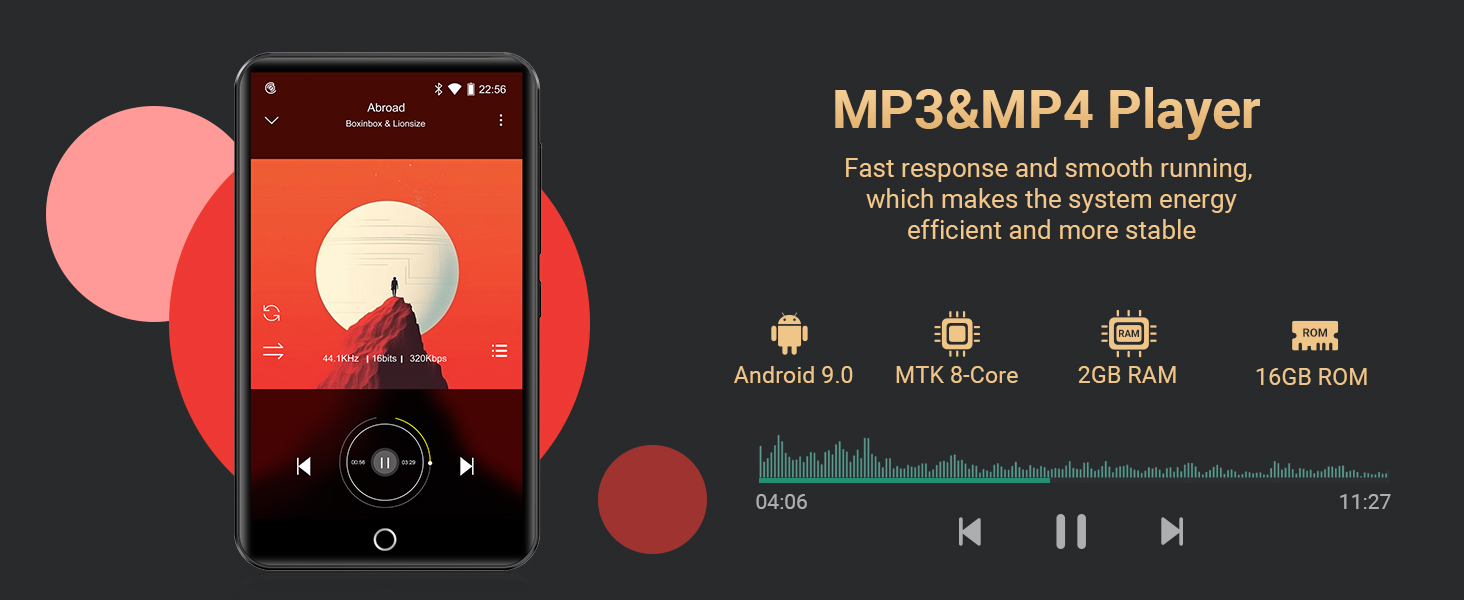 MP3 Player with Bluetooth and WiFi