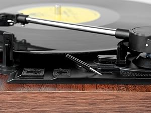 vinyl turntable