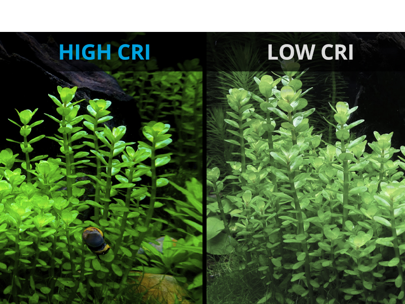 - aquarium light - fish tank light- aquarium light for plants- fish tank light 10 gallon