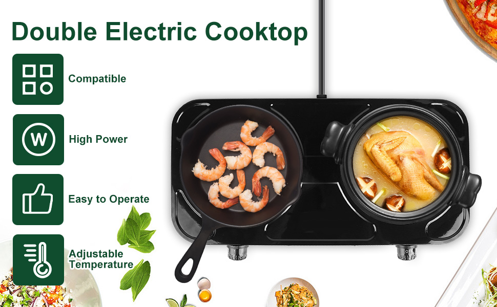 Double Burner Cooktop