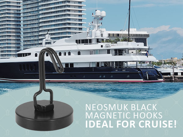 Neosmuk black swing magnetic hooks