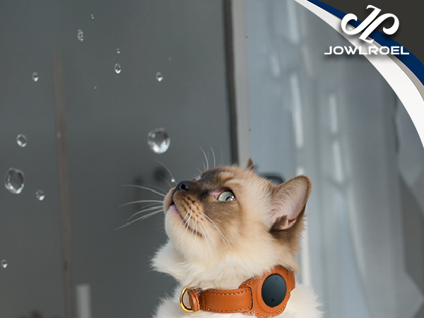 cat tracker cat tracker collar cat gps tracker collar gps cat collar gps tracker for cats