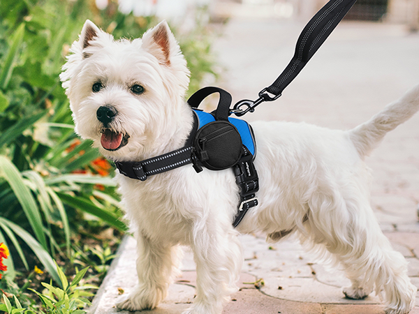 dog harness1-2