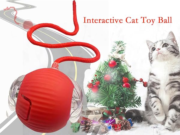 cat toyball