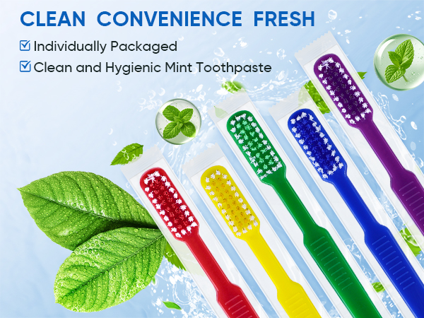 disposable toothbrushes with toothpaste