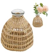 MDEOOSKY Straw Woven Glass Vase Boho Glass Flower Vase Country Rustic Style Vase Glass Vase for F...