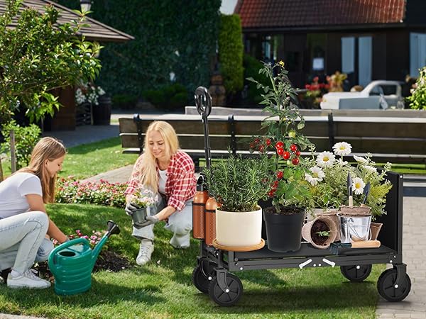 wagon carts foldable