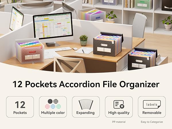 Accordion File Organizer