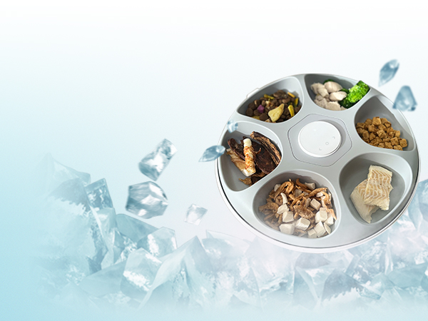 kitty puppy bunny animal house home indoor digital alarms clock voice recorder