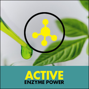Active Enzyme Power