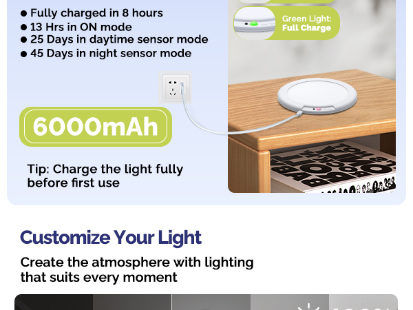 attery Operated Ceiling Light with Remote