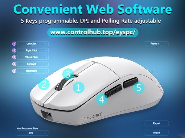web software