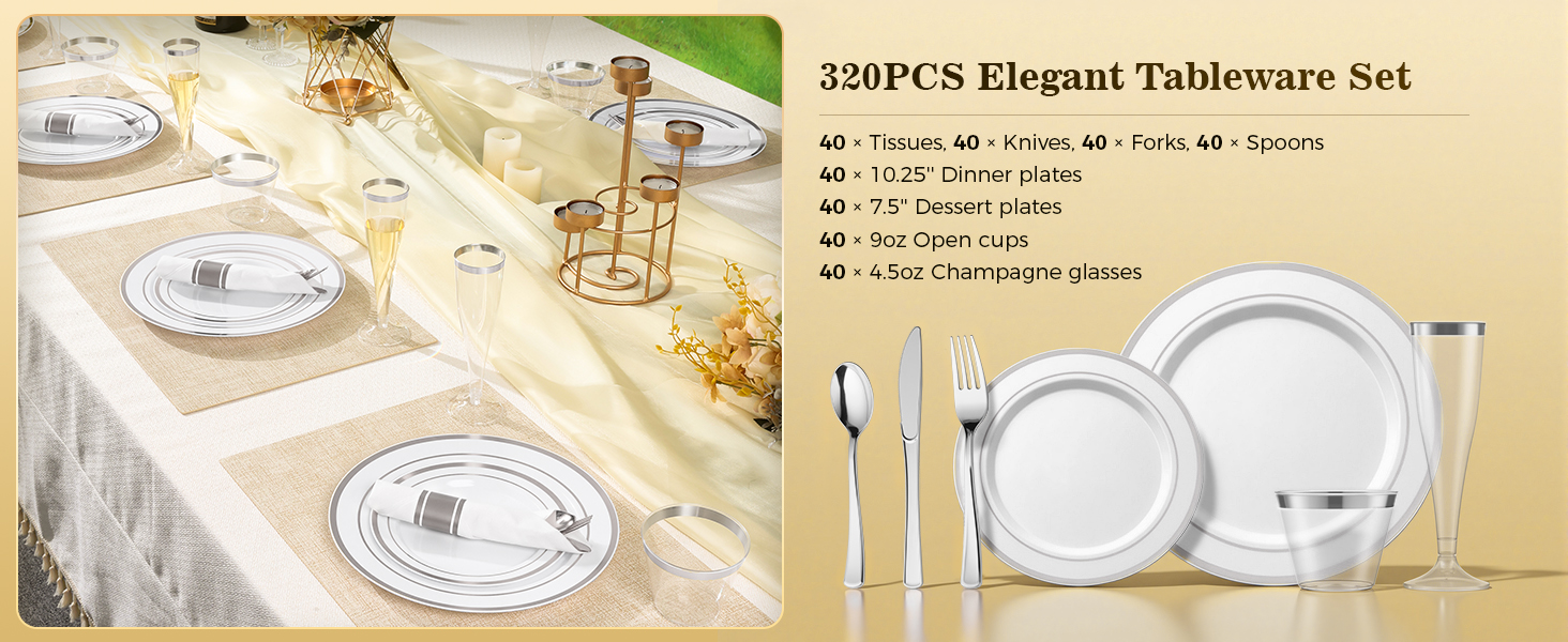 Silver Disposable Plastic Dinnerware Set