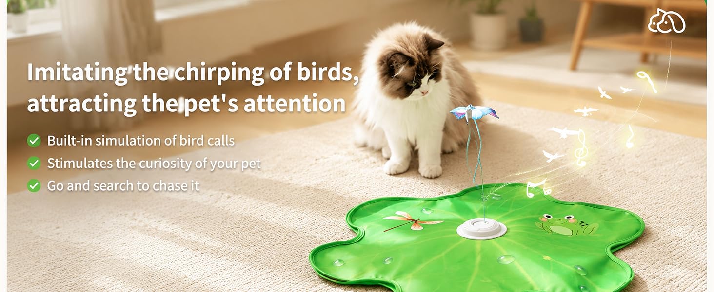 cat toy